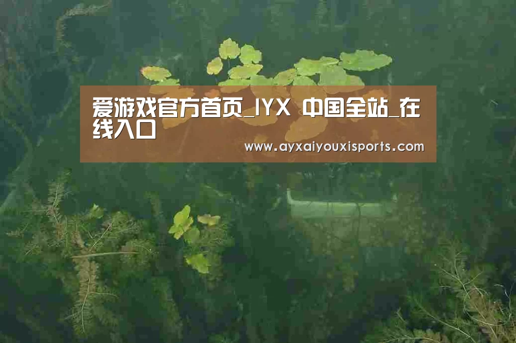 案例展示三