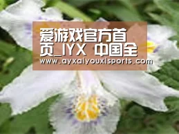 产品名称二