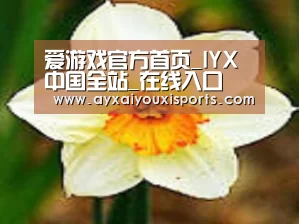 产品名称四
