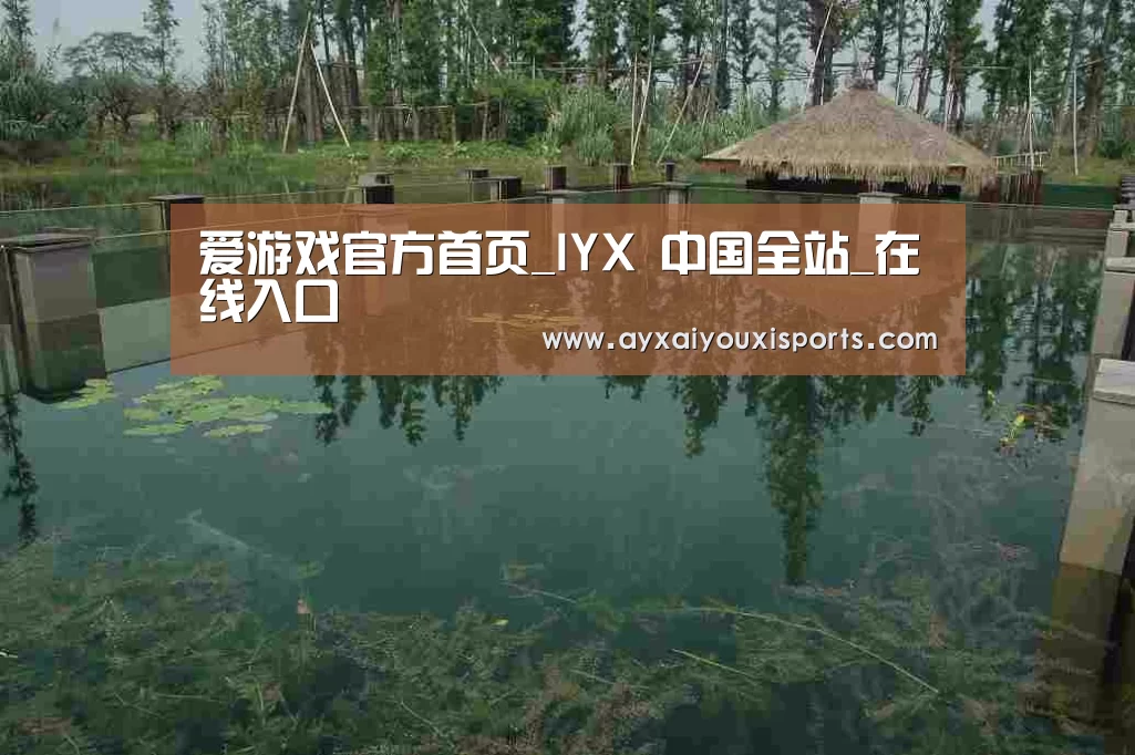 案例展示二