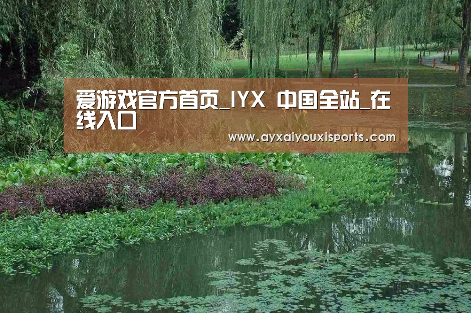 案例展示一
