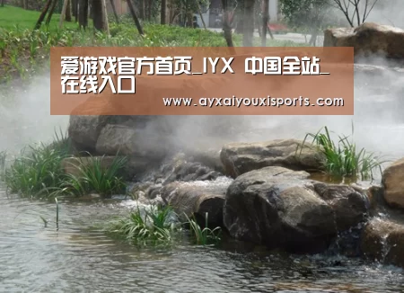 案例展示五