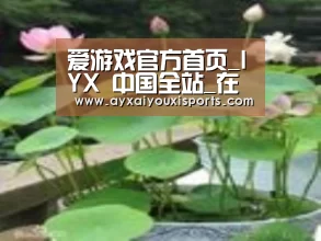 产品名称一