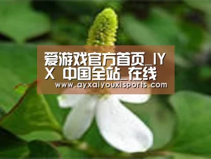 产品名称三