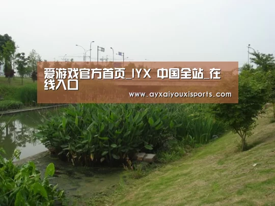 案例展示四