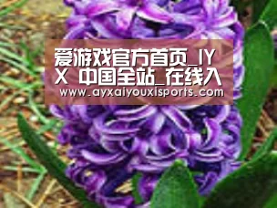 产品名称八