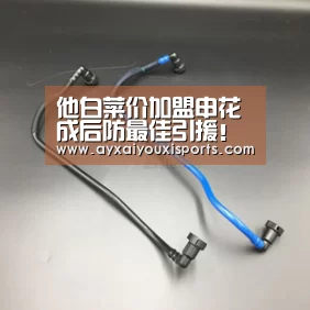 他白菜价加盟申花成后防最佳引援!曾是徐根宝最得意的爱将:ayx