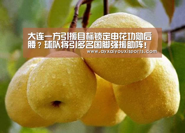 大连一方引援目标锁定申花功勋后腰？球队将引多名国脚强援助阵！【ayx】(图2)