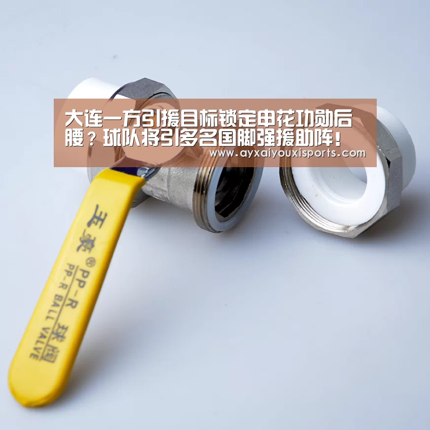 大连一方引援目标锁定申花功勋后腰?球队将引多名国脚强援助阵!【ayx】
