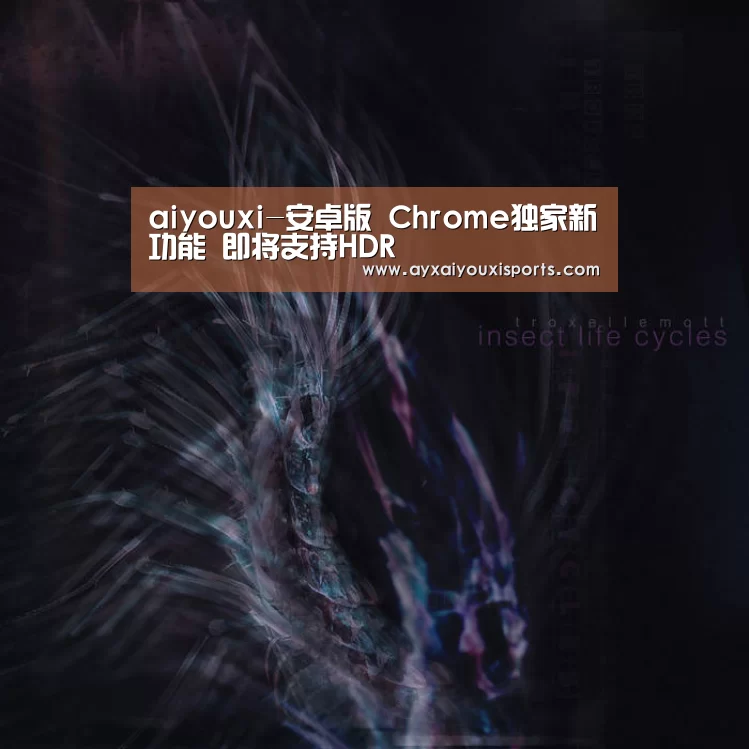 aiyouxi-安卓版 Chrome独家新功能 即将支持HDR(图2) aiyouxi-安卓版 Chrome独家新功能 即将支持HDR(图2)
